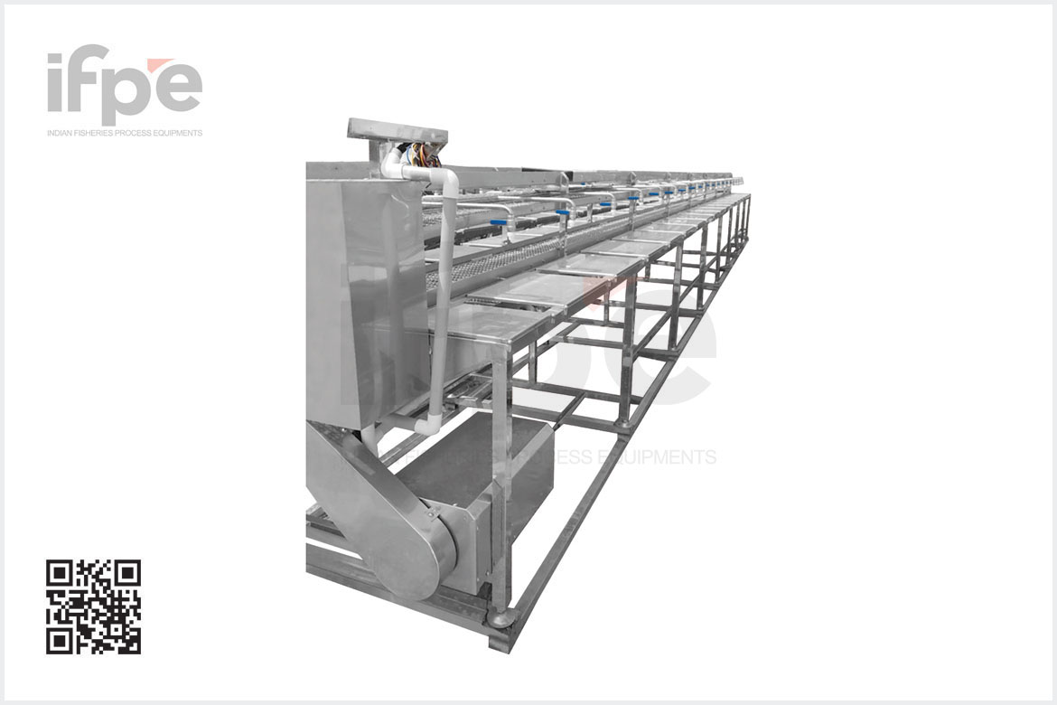 Shrimp De-heading Conveyor